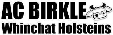 AC Birkle